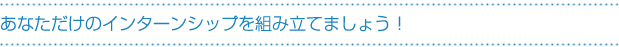 あなただけのインターンシップを組み立てましょう!